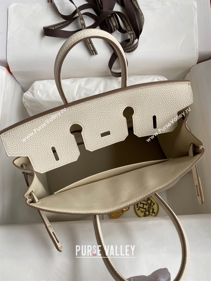 Hermes Birkin 25cm Bag in Original Togo Leather Milkshake White/Gold 2023 (Pure Handmade) (Y-23110822)