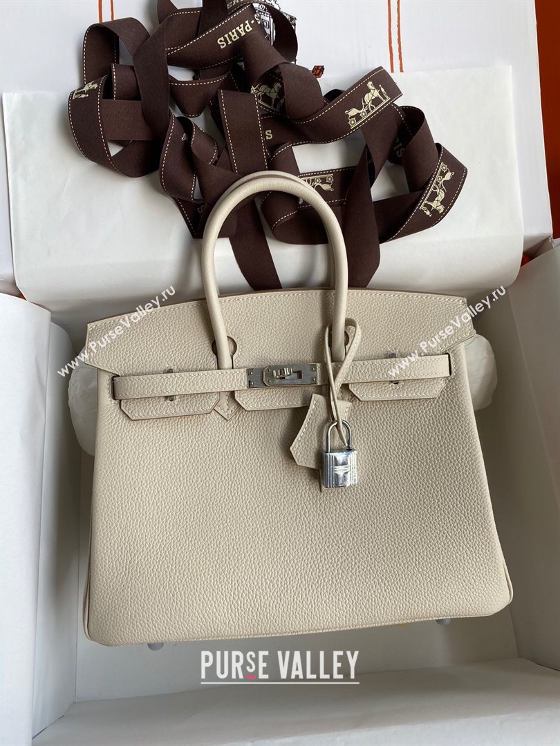 Hermes Birkin 25cm Bag in Original Togo Leather Milkshake White/Silver 2023 (Pure Handmade) (Y-23110823)