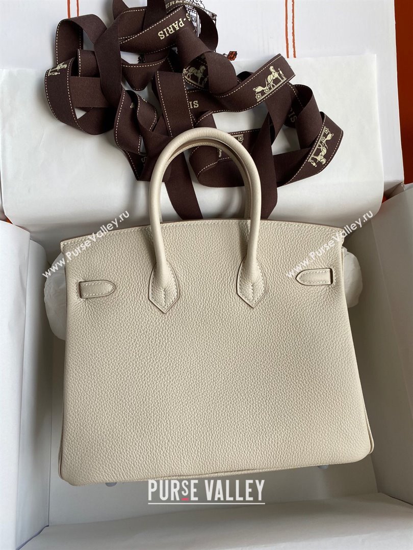 Hermes Birkin 25cm Bag in Original Togo Leather Milkshake White/Silver 2023 (Pure Handmade) (Y-23110823)