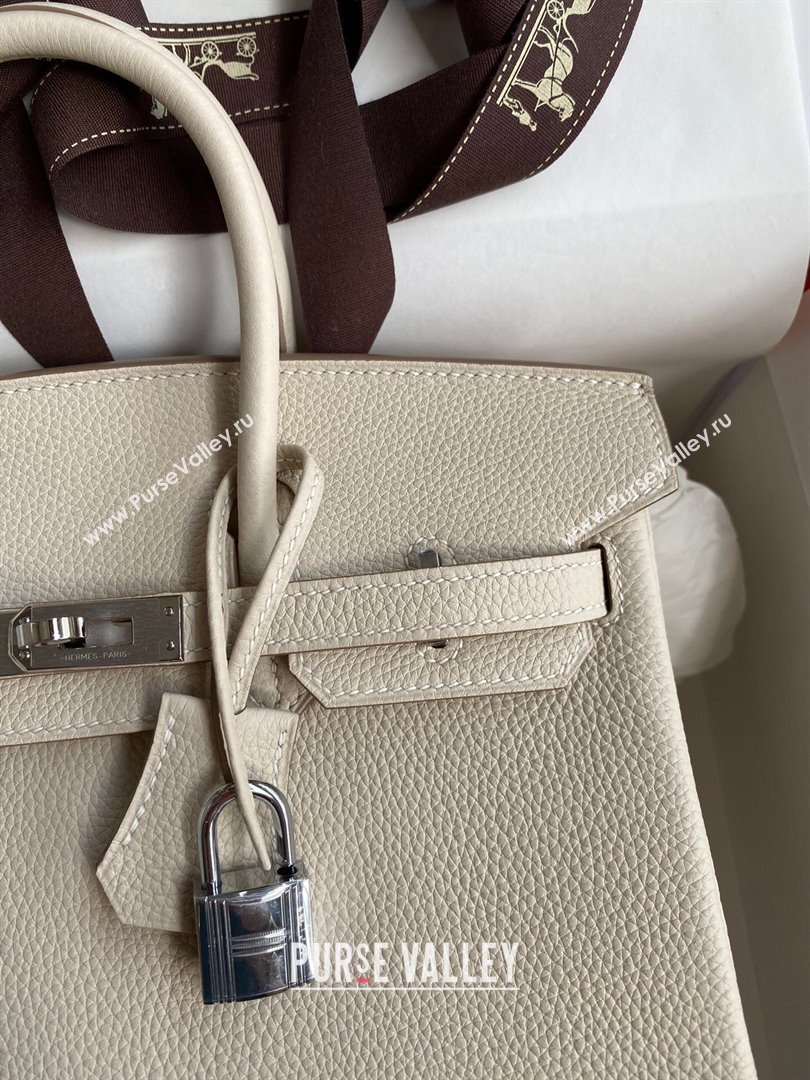 Hermes Birkin 25cm Bag in Original Togo Leather Milkshake White/Silver 2023 (Pure Handmade) (Y-23110823)