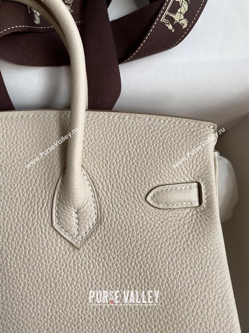 Hermes Birkin 25cm Bag in Original Togo Leather Milkshake White/Silver 2023 (Pure Handmade) (Y-23110823)