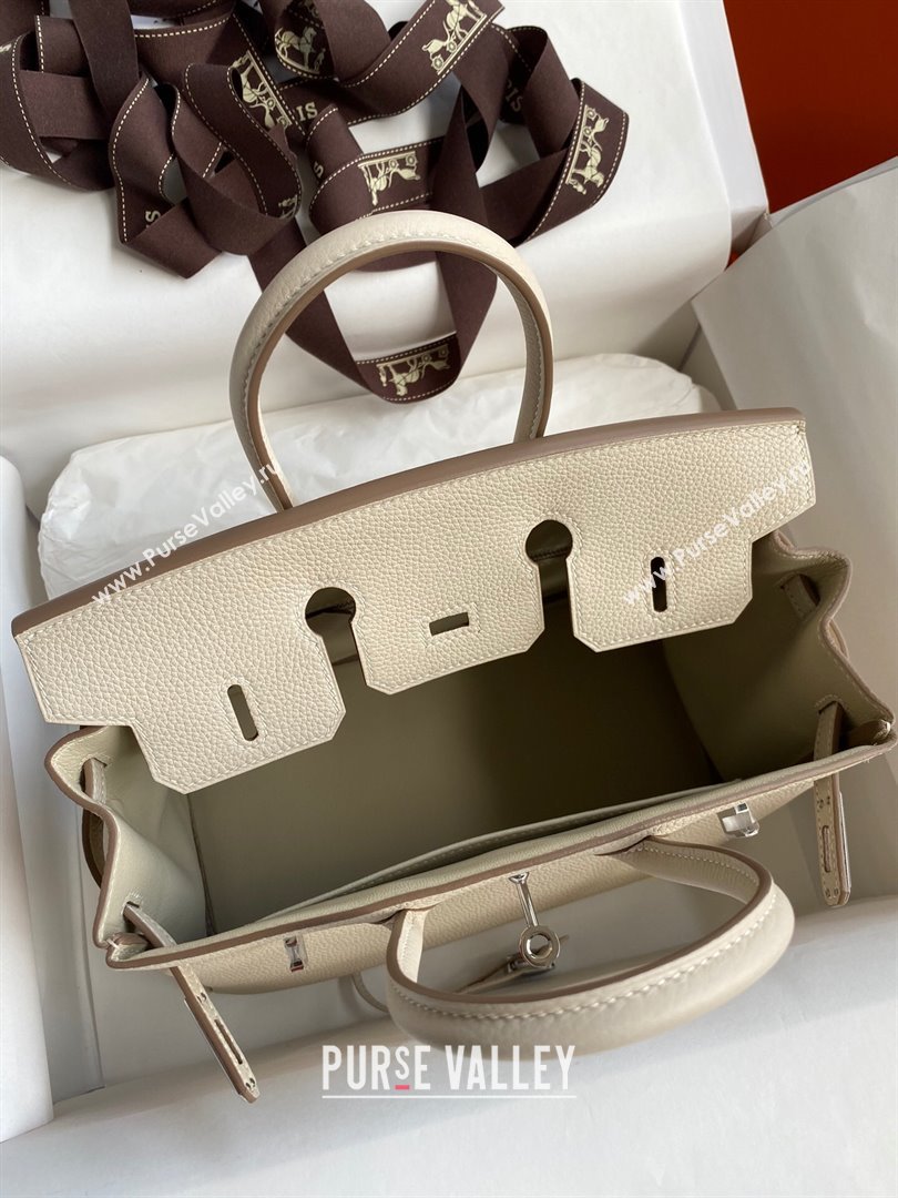 Hermes Birkin 25cm Bag in Original Togo Leather Milkshake White/Silver 2023 (Pure Handmade) (Y-23110823)