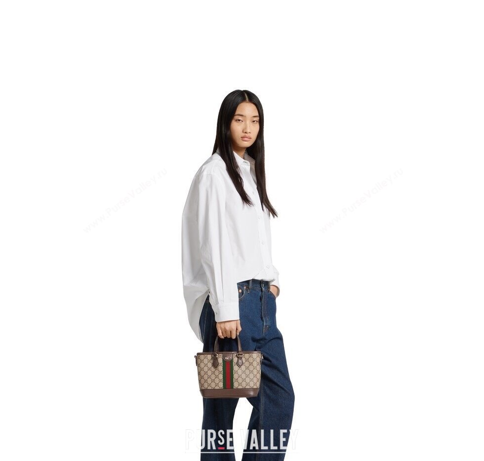 Gucci Ophidia GG Canvas small tote bag Brown 2025 836848 (DLH-250808038)