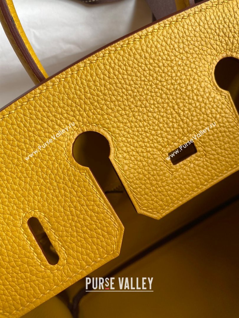 Hermes Birkin 25cm Bag in Original Togo Leather Yellow/Gold 2023 (Pure Handmade) (Y-23110826)