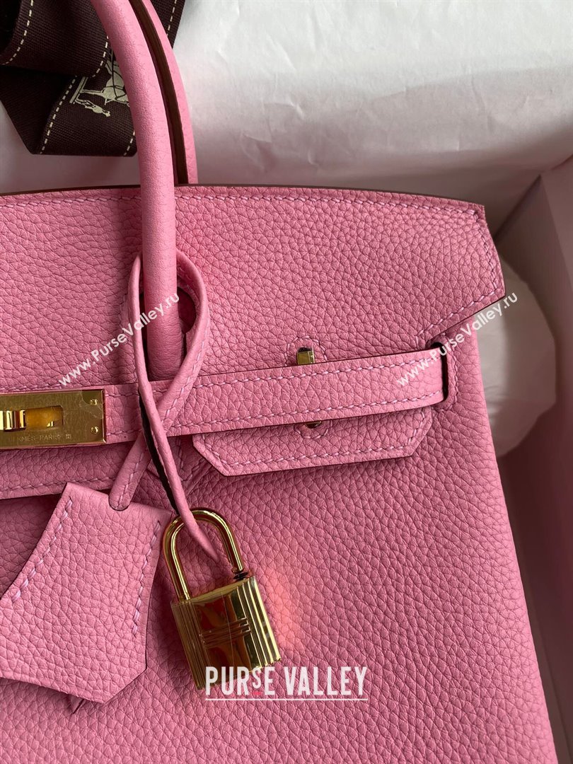 Hermes Birkin 25cm Bag in Original Togo Leather Sakura Pink/Gold 2023 (Pure Handmade) (Y-23110831)