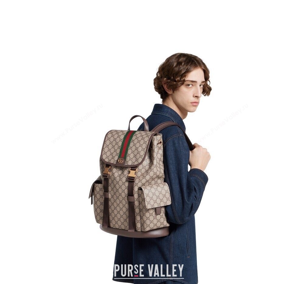 Gucci Mens Ophidia large backpack bag Beige/Brown 2026 839110 (DLH-260127090)