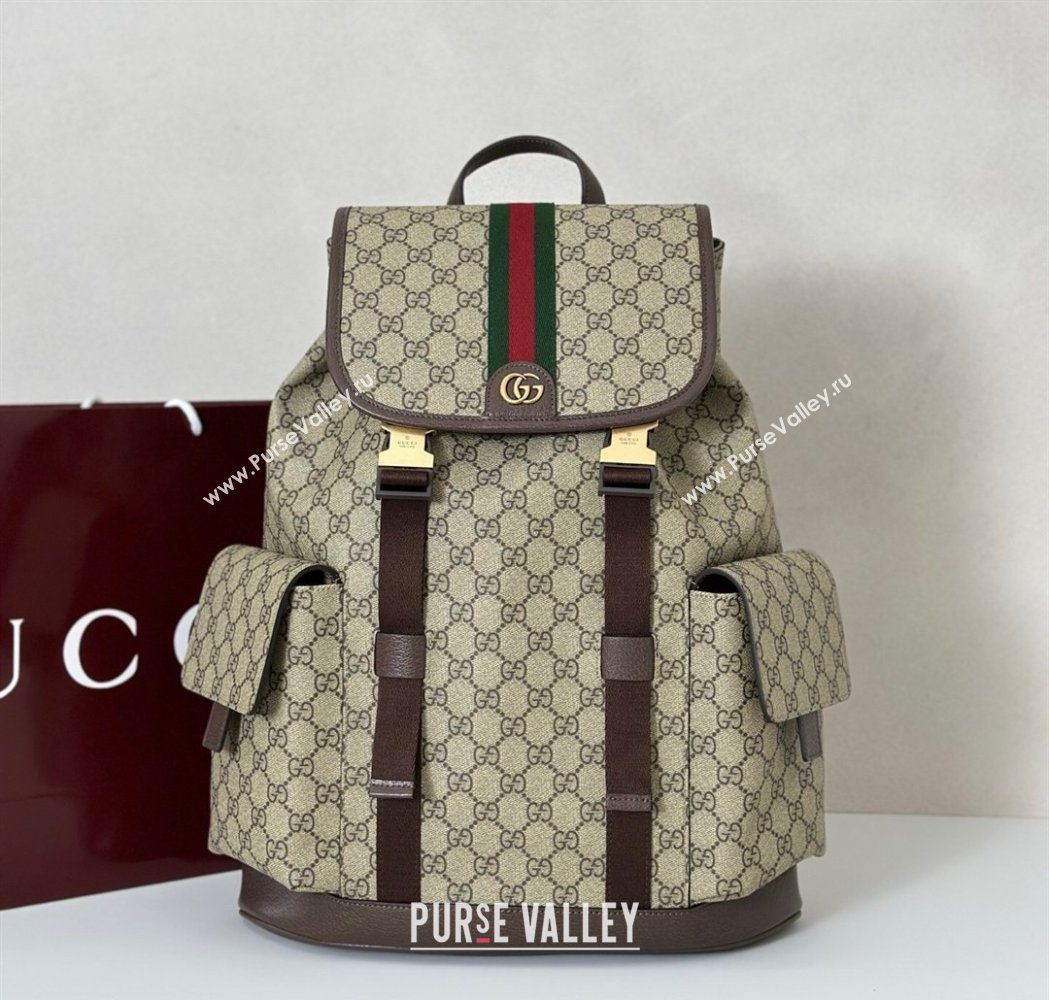 Gucci Mens Ophidia large backpack bag Beige/Brown 2026 839110 (DLH-260127090)