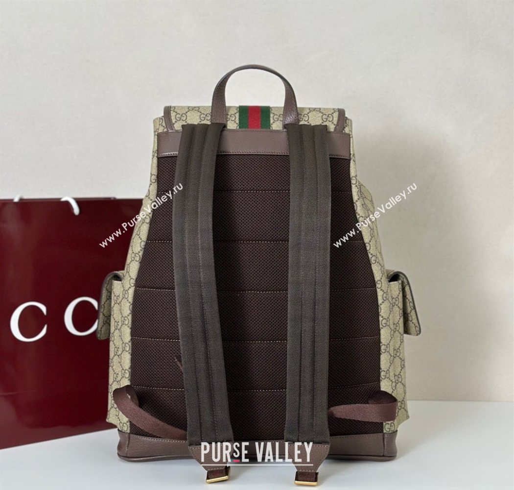Gucci Mens Ophidia large backpack bag Beige/Brown 2026 839110 (DLH-260127090)