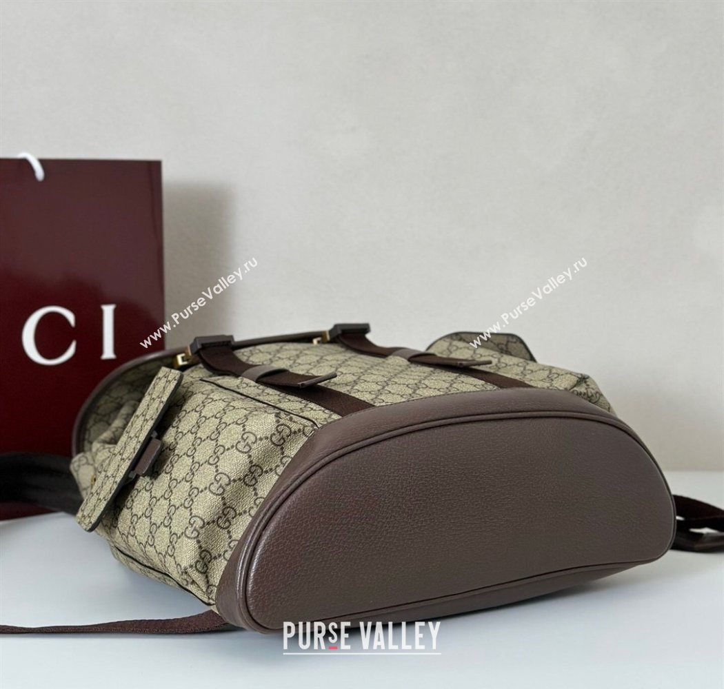 Gucci Mens Ophidia large backpack bag Beige/Brown 2026 839110 (DLH-260127090)