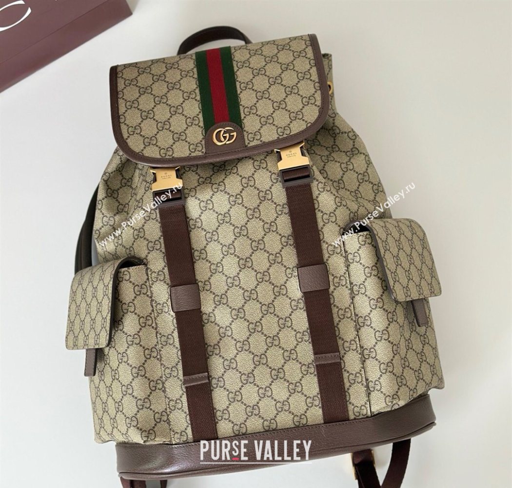 Gucci Mens Ophidia large backpack bag Beige/Brown 2026 839110 (DLH-260127090)