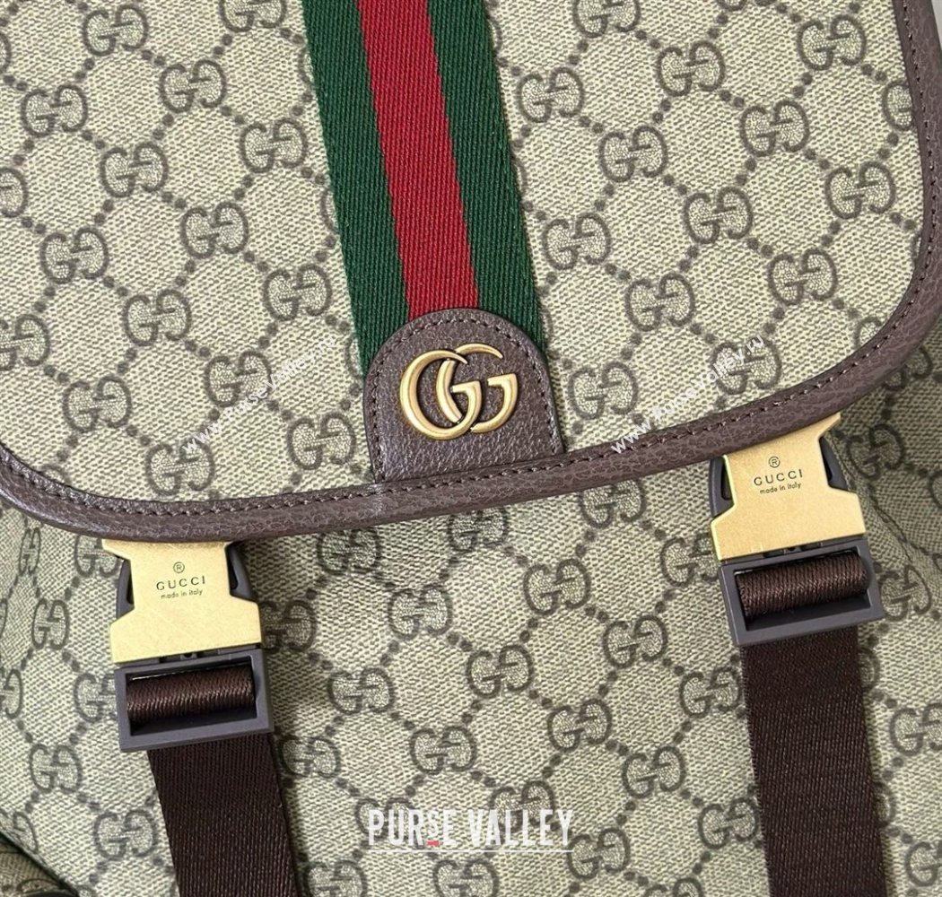 Gucci Mens Ophidia large backpack bag Beige/Brown 2026 839110 (DLH-260127090)