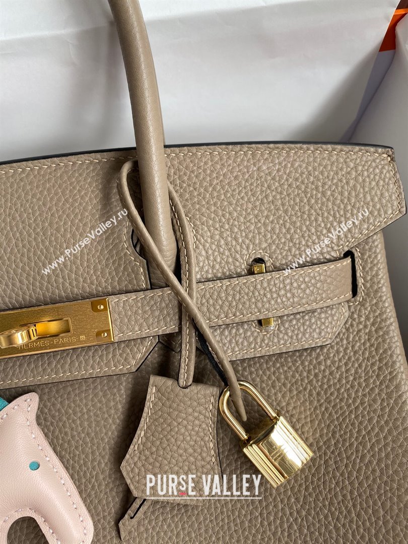 Hermes Birkin 30cm/35cm Bag in Original Togo Leather Turtledove Grey/Gold 2024 (Full Handmade) (XYA-24040905)
