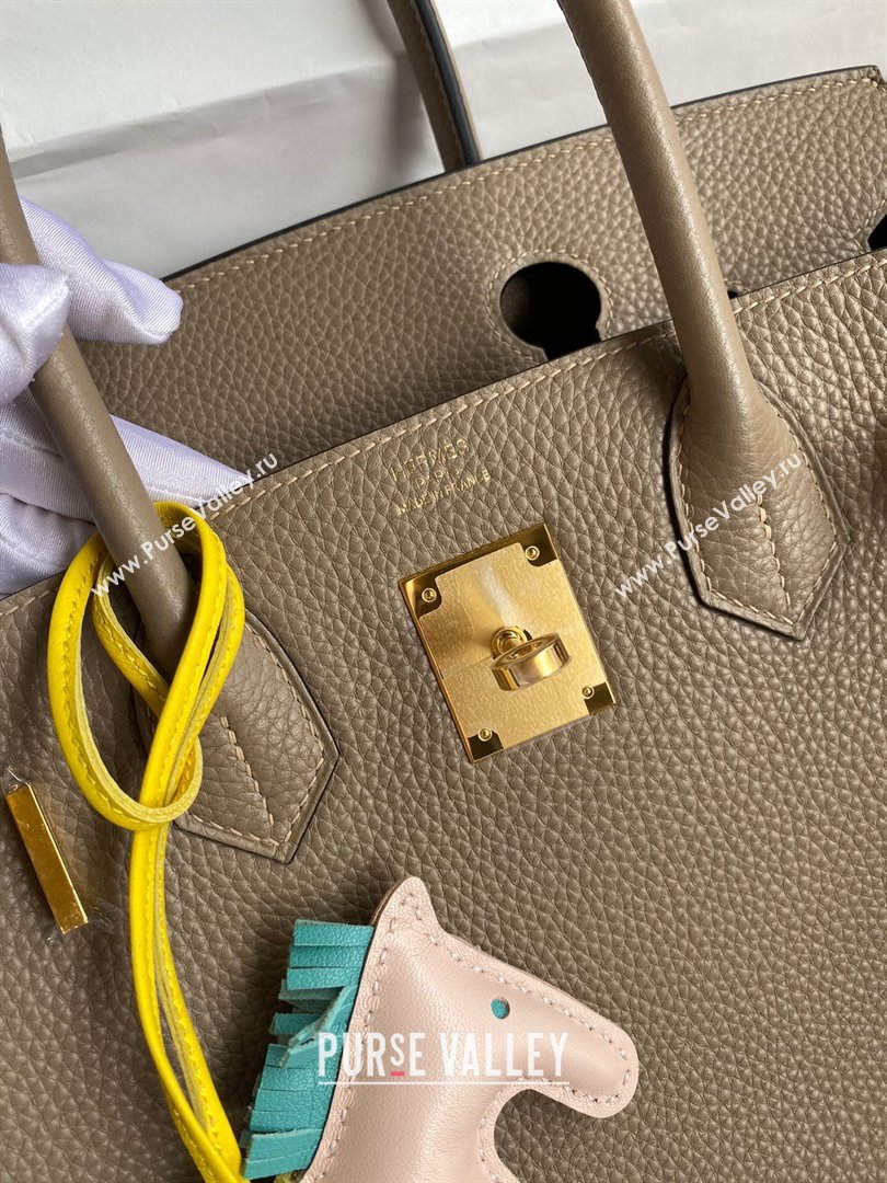 Hermes Birkin 30cm/35cm Bag in Original Togo Leather Turtledove Grey/Gold 2024 (Full Handmade) (XYA-24040905)