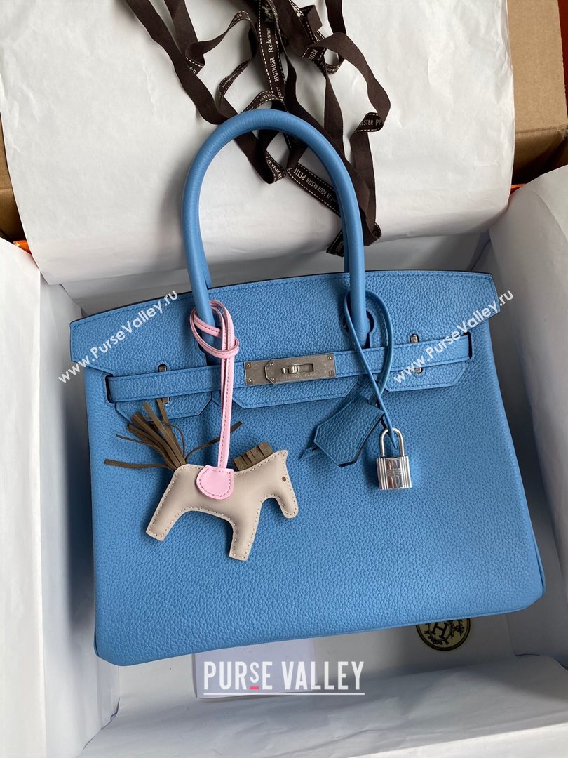 Hermes Birkin 30cm/35cm Bag in Original Togo Leather Paradiso Blue/Silver 2024 (Full Handmade) (XYA-24040908)