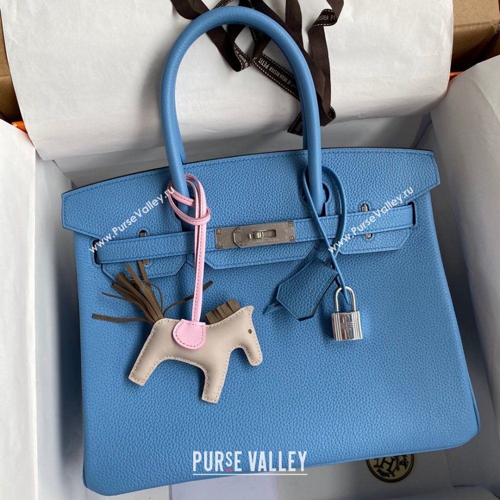 Hermes Birkin 30cm/35cm Bag in Original Togo Leather Paradiso Blue/Silver 2024 (Full Handmade) (XYA-24040908)