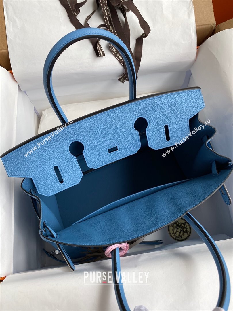 Hermes Birkin 30cm/35cm Bag in Original Togo Leather Paradiso Blue/Silver 2024 (Full Handmade) (XYA-24040908)