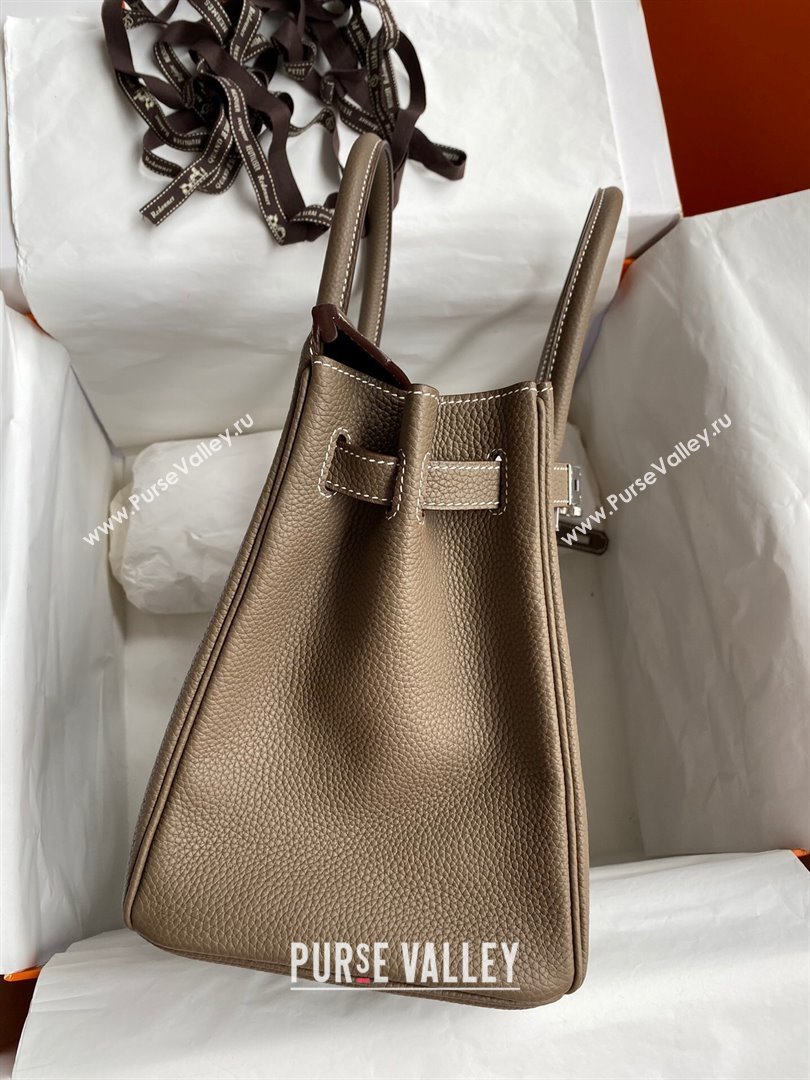 Hermes Birkin 30cm/35cm Bag in Original Togo Leather Etoupe/Silver 2024 (Full Handmade) (XYA-24040918)