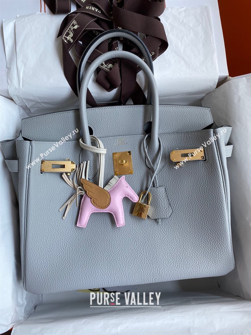 Hermes Birkin 30cm/35cm Bag in Original Togo Leather Glacier Blue/Gold 2024 (Full Handmade) (XYA-24040922)