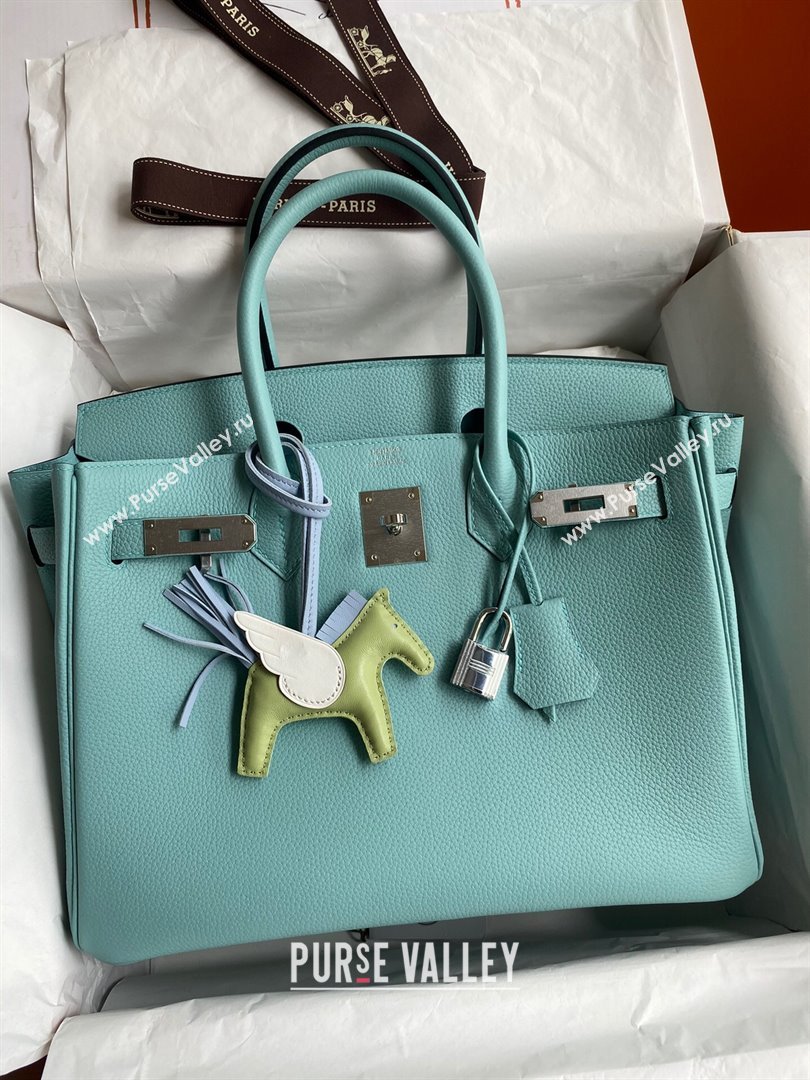 Hermes Birkin 30cm/35cm Bag in Original Togo Leather Macaron Blue/Silver 2024 (Full Handmade) (XYA-24040924)