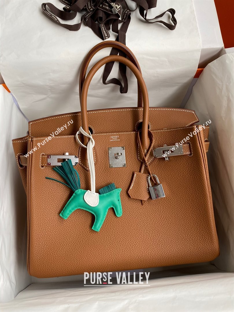 Hermes Birkin 30cm/35cm Bag in Original Togo Leather Brown/Silver 2024 (Full Handmade) (XYA-24040925)