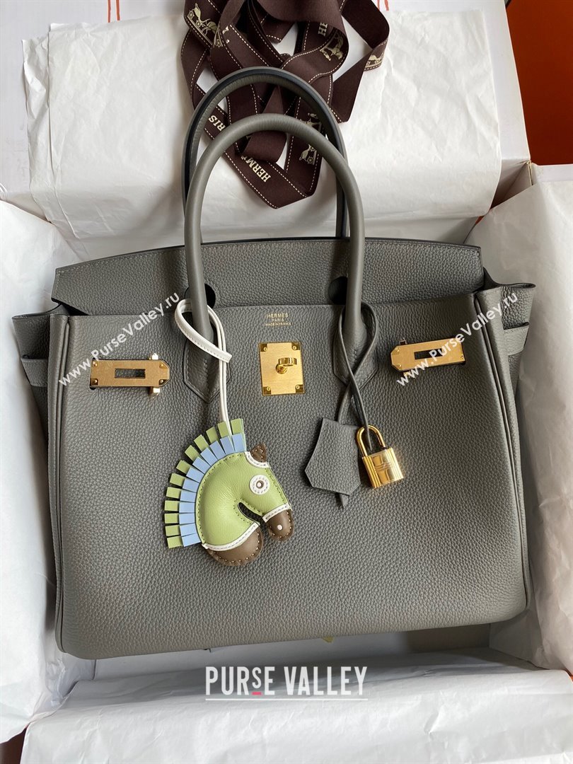 Hermes Birkin 30cm/35cm Bag in Original Togo Leather Cumulonimbus Grey/Gold 2024 (Full Handmade) (XYA-24040928)