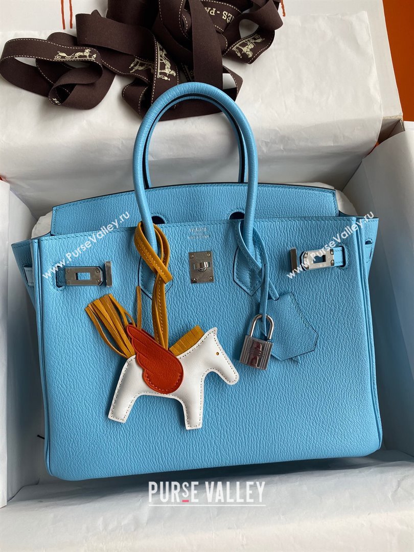 Hermes Birkin 25cm/30cm Bag in Original Chevre Leather Candy Blue/Silver 2024 (Full Handmade) (XYA-24041001)