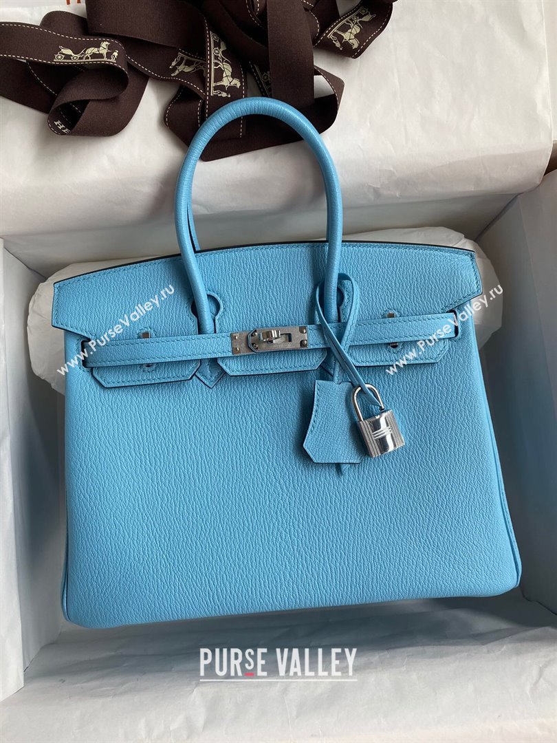 Hermes Birkin 25cm/30cm Bag in Original Chevre Leather Candy Blue/Silver 2024 (Full Handmade) (XYA-24041001)