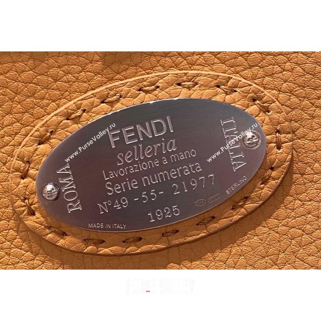 Fendi Peekaboo ISeeU Medium Selleria Bag in Grained Calfskin Black 2021 (CL-21090628)
