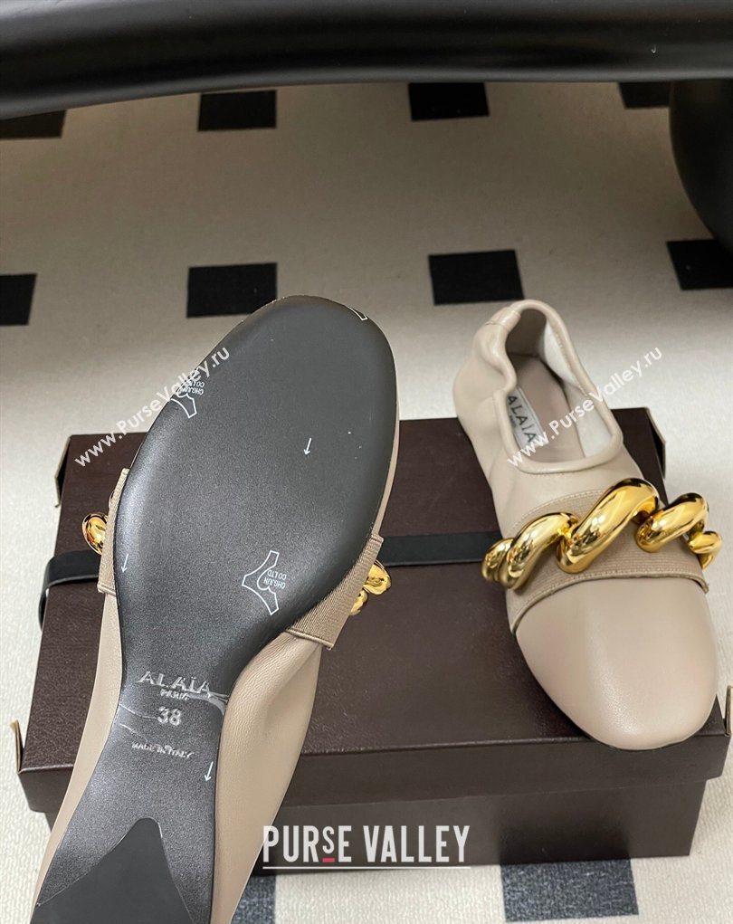 Alaia Jewel Slippers Flat in Leather Grey 2026 AL020705 (MD-260207070)