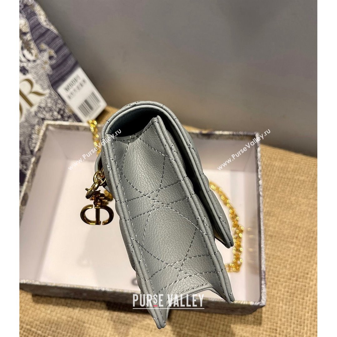 Dior Caro Belt Pouch with Chain in Grey Supple Cannage Calfskin 2021 (XXG-21090707)