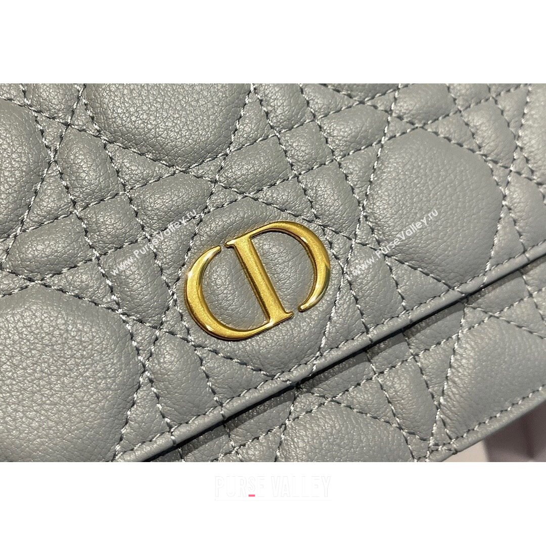 Dior Caro Belt Pouch with Chain in Grey Supple Cannage Calfskin 2021 (XXG-21090707)