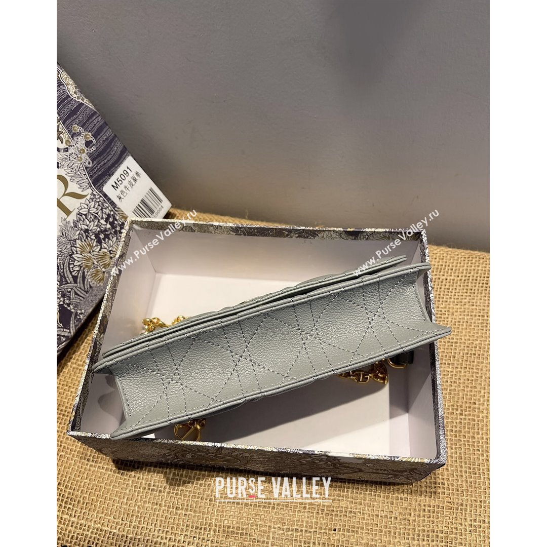 Dior Caro Belt Pouch with Chain in Grey Supple Cannage Calfskin 2021 (XXG-21090707)