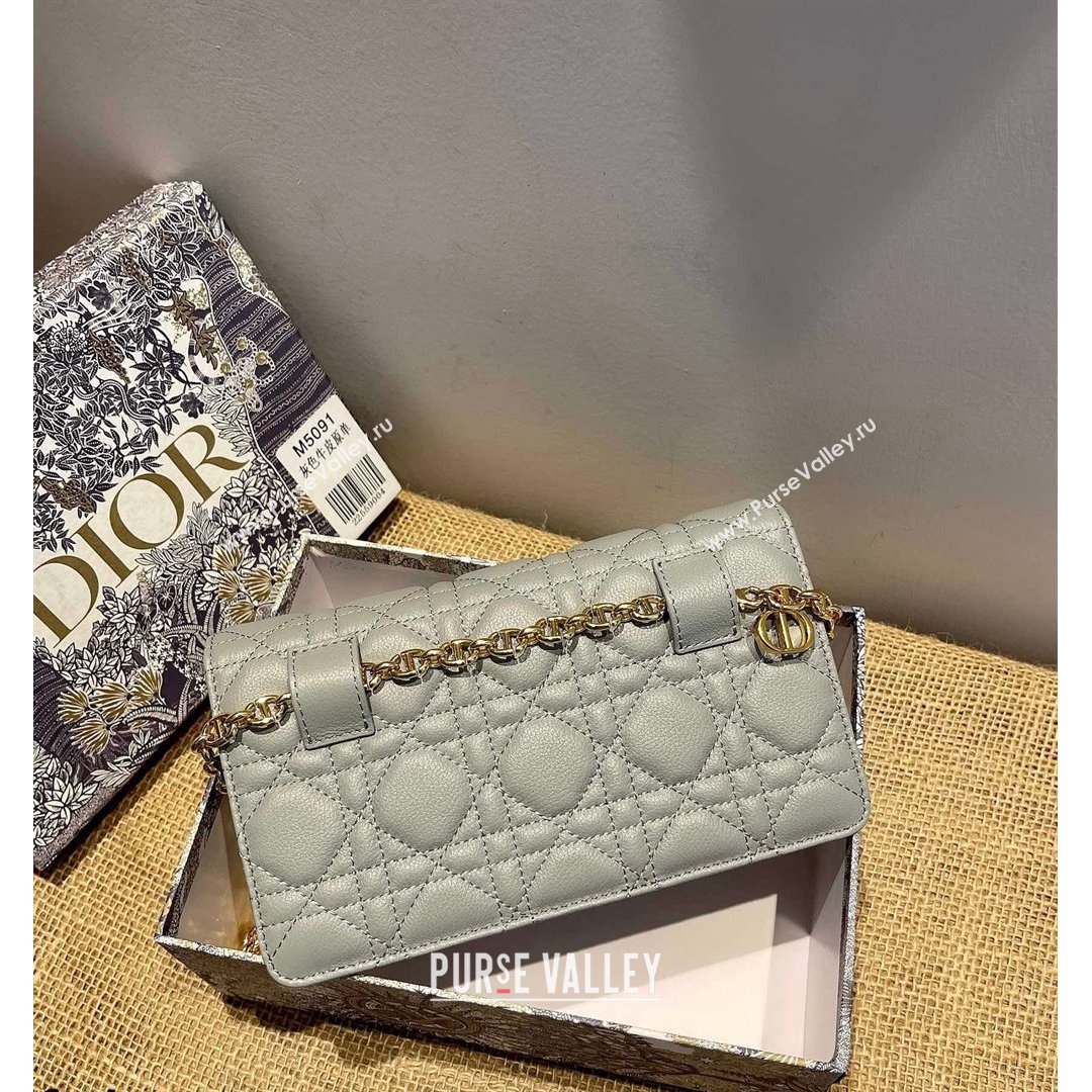 Dior Caro Belt Pouch with Chain in Grey Supple Cannage Calfskin 2021 (XXG-21090707)