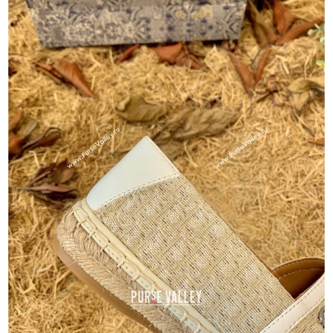 Dior Flat Espadrilles in Oblique Embroidered Canvas Grey 2021 (HB-21081313)