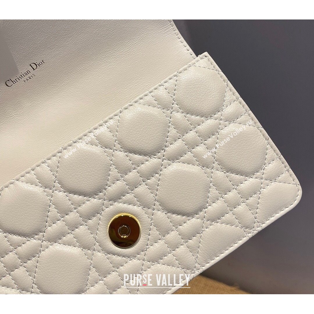 Dior Caro Belt Pouch with Chain in Latte White Supple Cannage Calfskin 2021 (XXG-21090704)