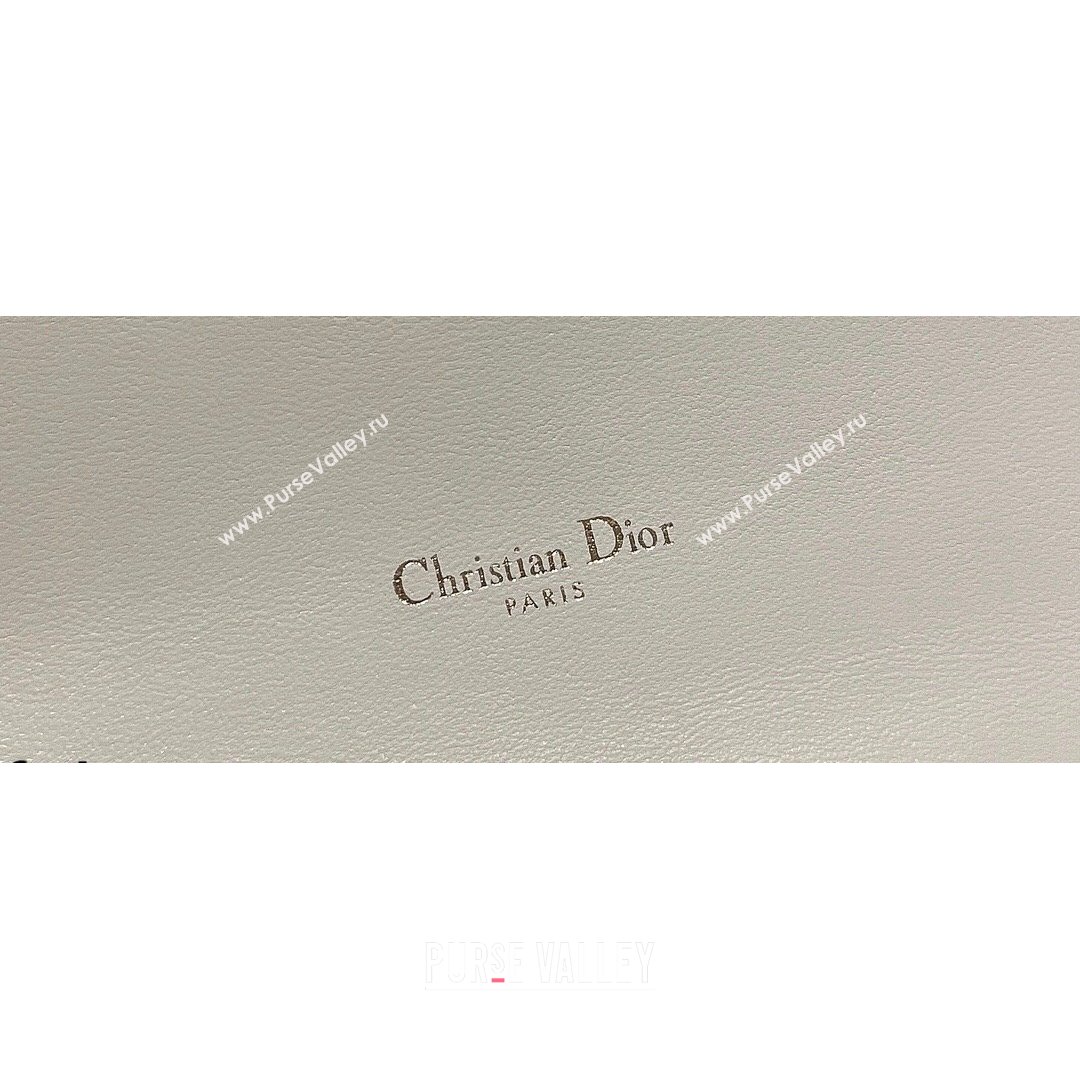 Dior Caro Belt Pouch with Chain in Latte White Supple Cannage Calfskin 2021 (XXG-21090704)