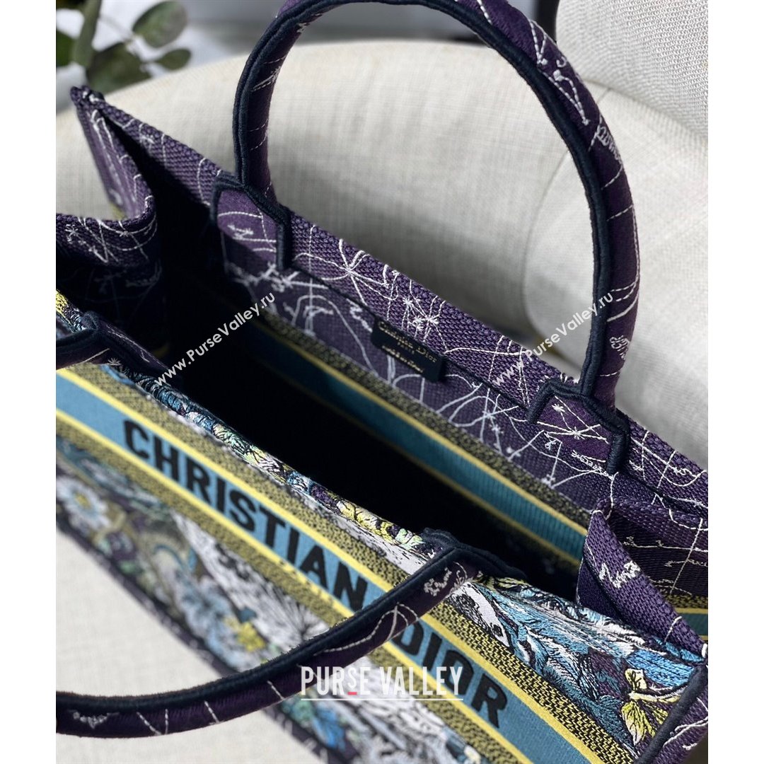 Dior Small Book Tote Bag in Blue Constellation Embroidery 2021 (XXG-21090708)