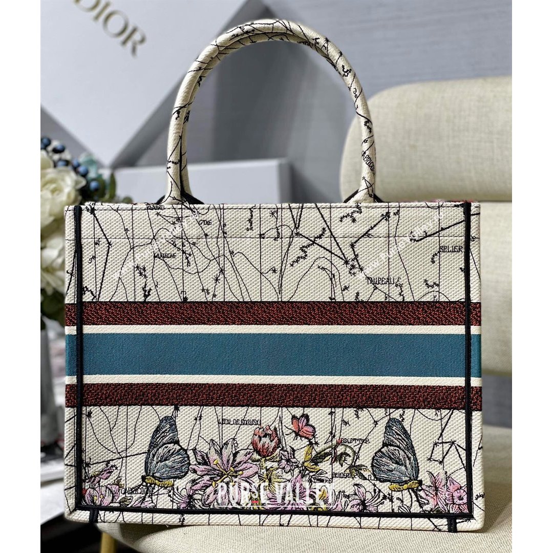 Dior Small Book Tote Bag in Latte Multicolor Constellation Embroidery 2021 (XXG-21090710)