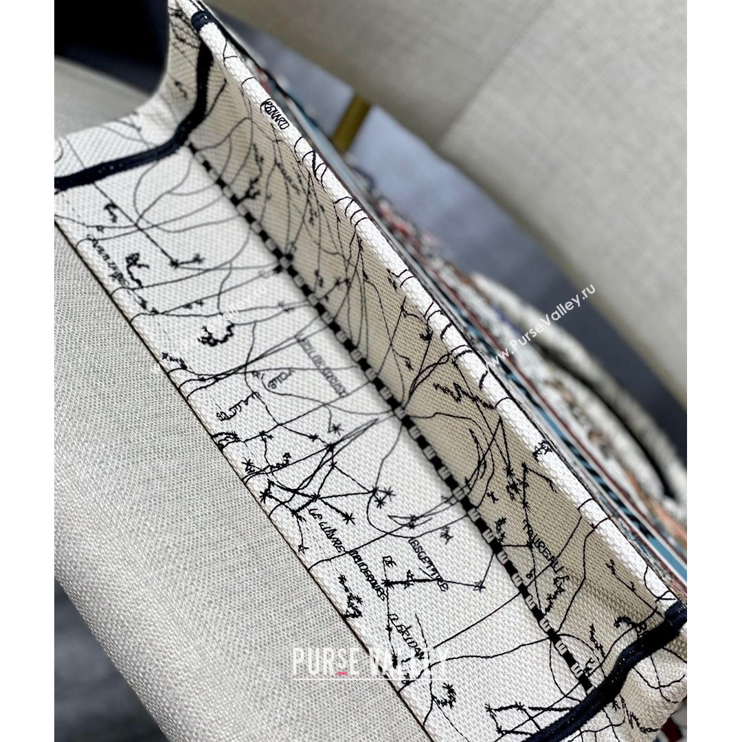 Dior Small Book Tote Bag in Latte Multicolor Constellation Embroidery 2021 (XXG-21090710)