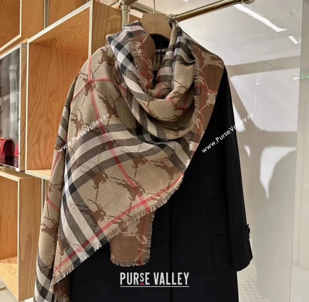 Burberry Cashmere Scarf 220x70cm B011602 Brown 2025 Top Quality (WTZ-25011602)