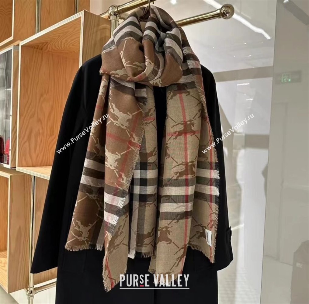 Burberry Cashmere Scarf 220x70cm B011602 Brown 2025 Top Quality (WTZ-25011602)