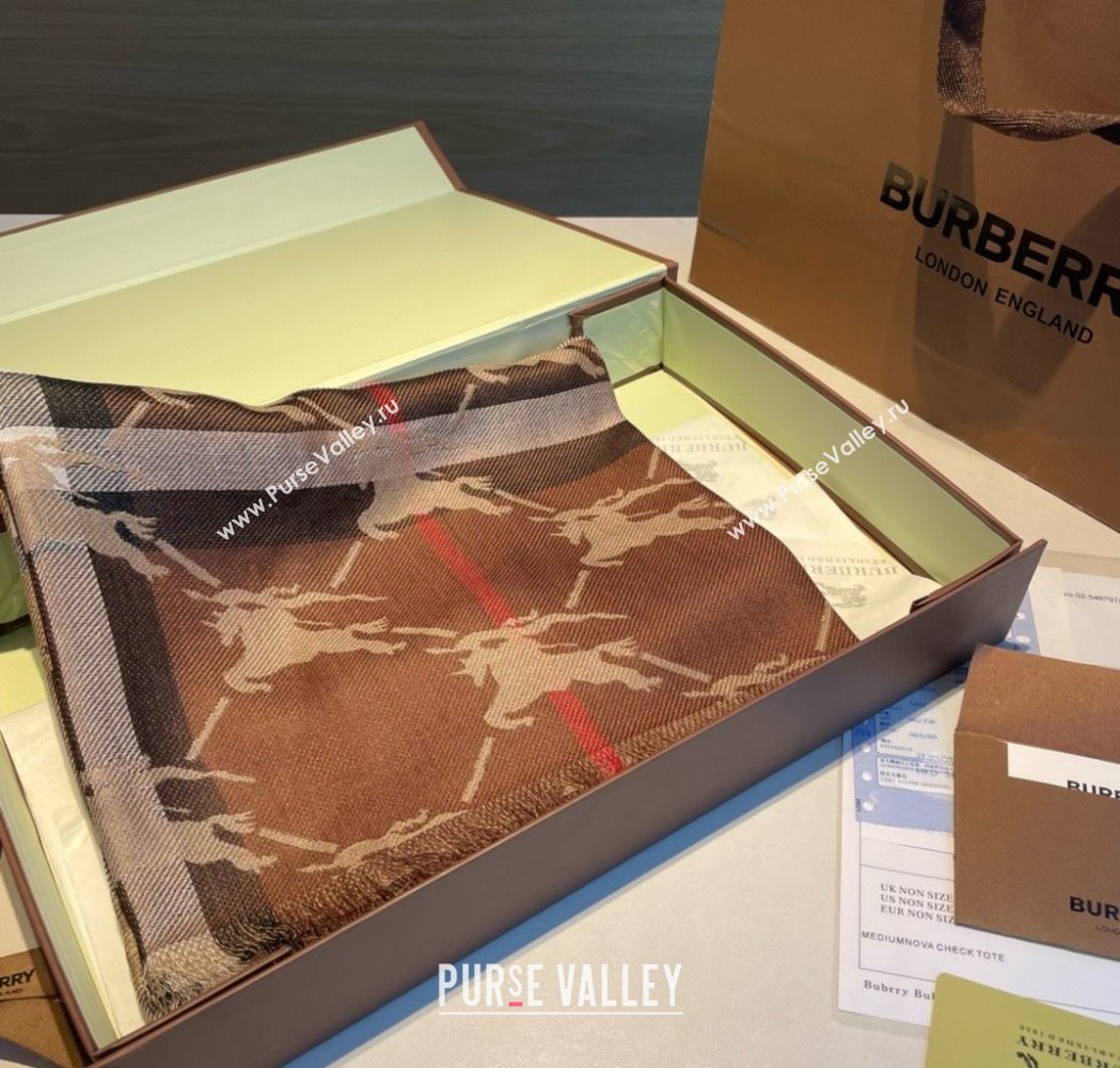 Burberry Cashmere Scarf 220x70cm B011602 Brown 2025 Top Quality (WTZ-25011602)