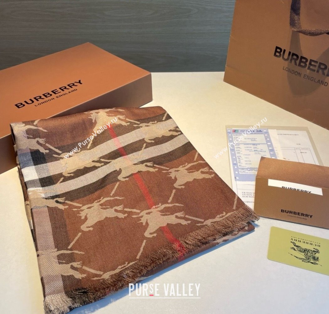 Burberry Cashmere Scarf 220x70cm B011602 Brown 2025 Top Quality (WTZ-25011602)