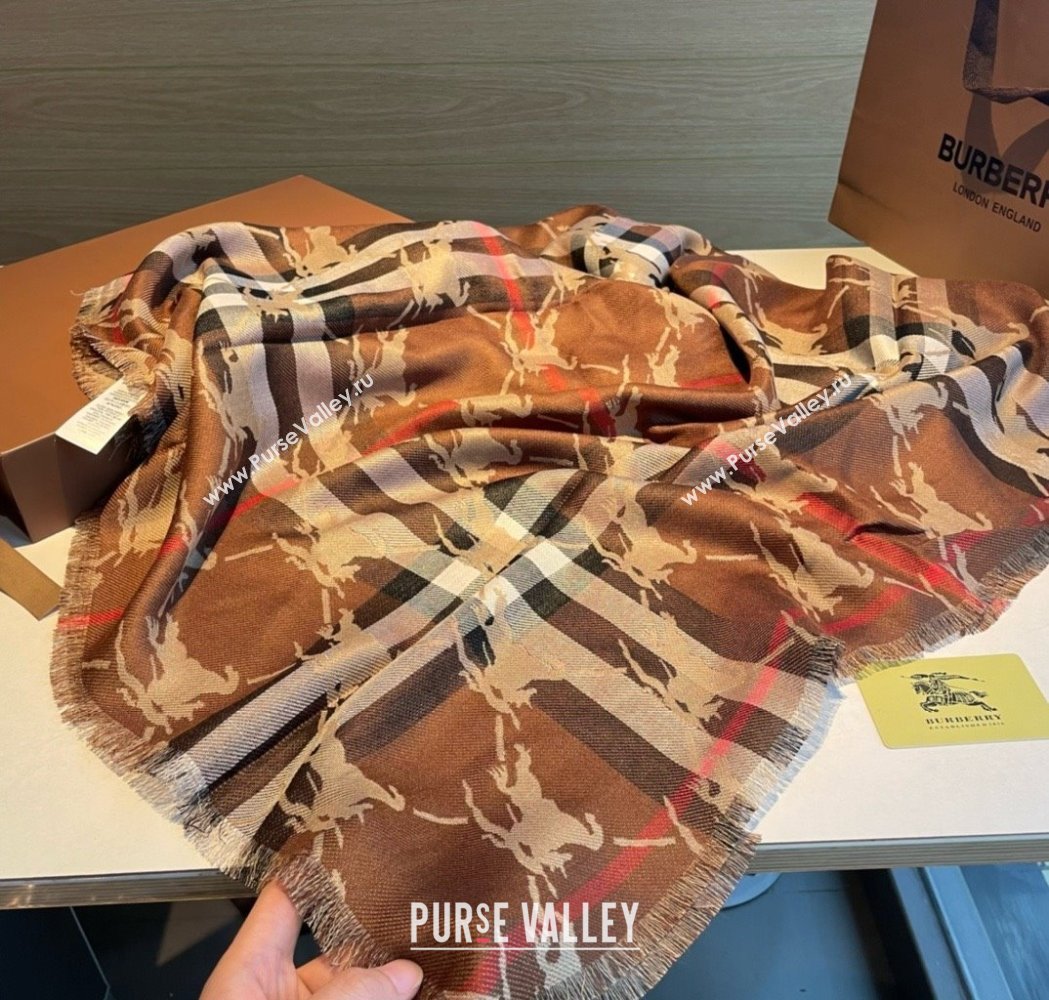 Burberry Cashmere Scarf 220x70cm B011602 Brown 2025 Top Quality (WTZ-25011602)