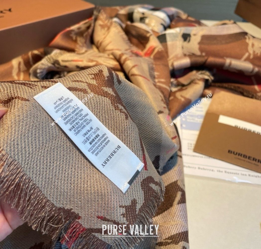 Burberry Cashmere Scarf 220x70cm B011602 Brown 2025 Top Quality (WTZ-25011602)