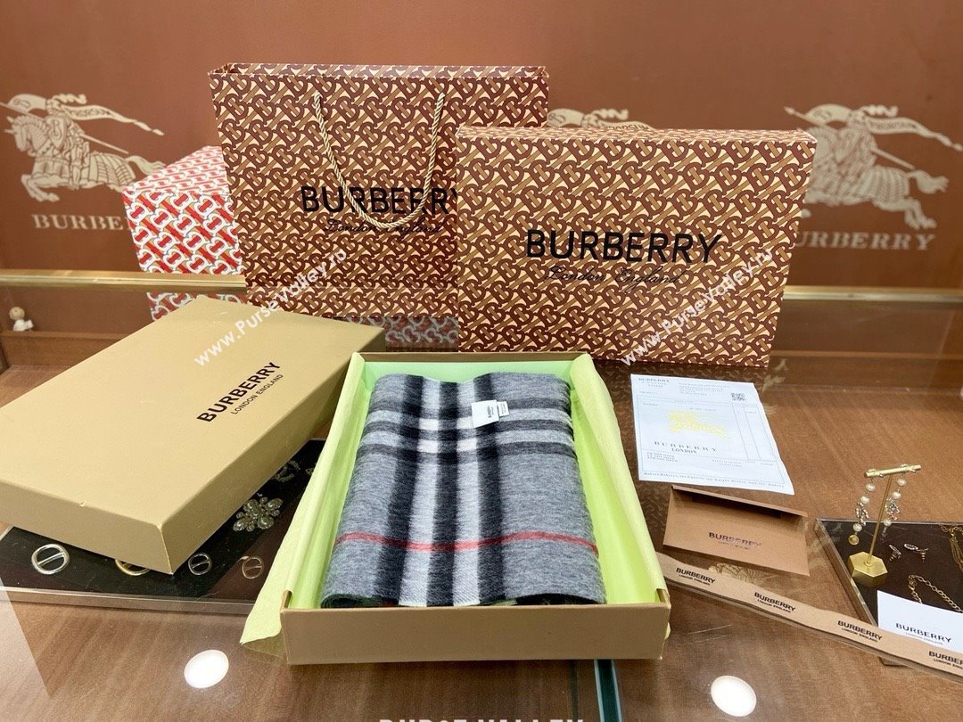 Burberry Check Cashmere Scarf 30x168cm B011603 Grey 2025 Top Quality (WTZ-25011603)