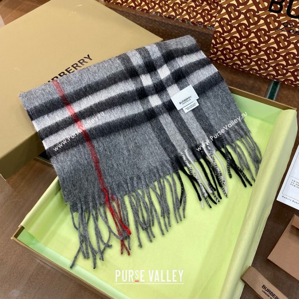 Burberry Check Cashmere Scarf 30x168cm B011603 Grey 2025 Top Quality (WTZ-25011603)