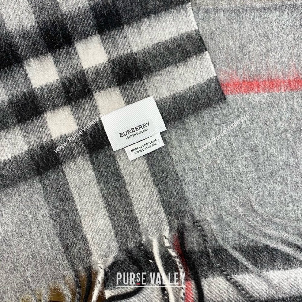 Burberry Check Cashmere Scarf 30x168cm B011603 Grey 2025 Top Quality (WTZ-25011603)