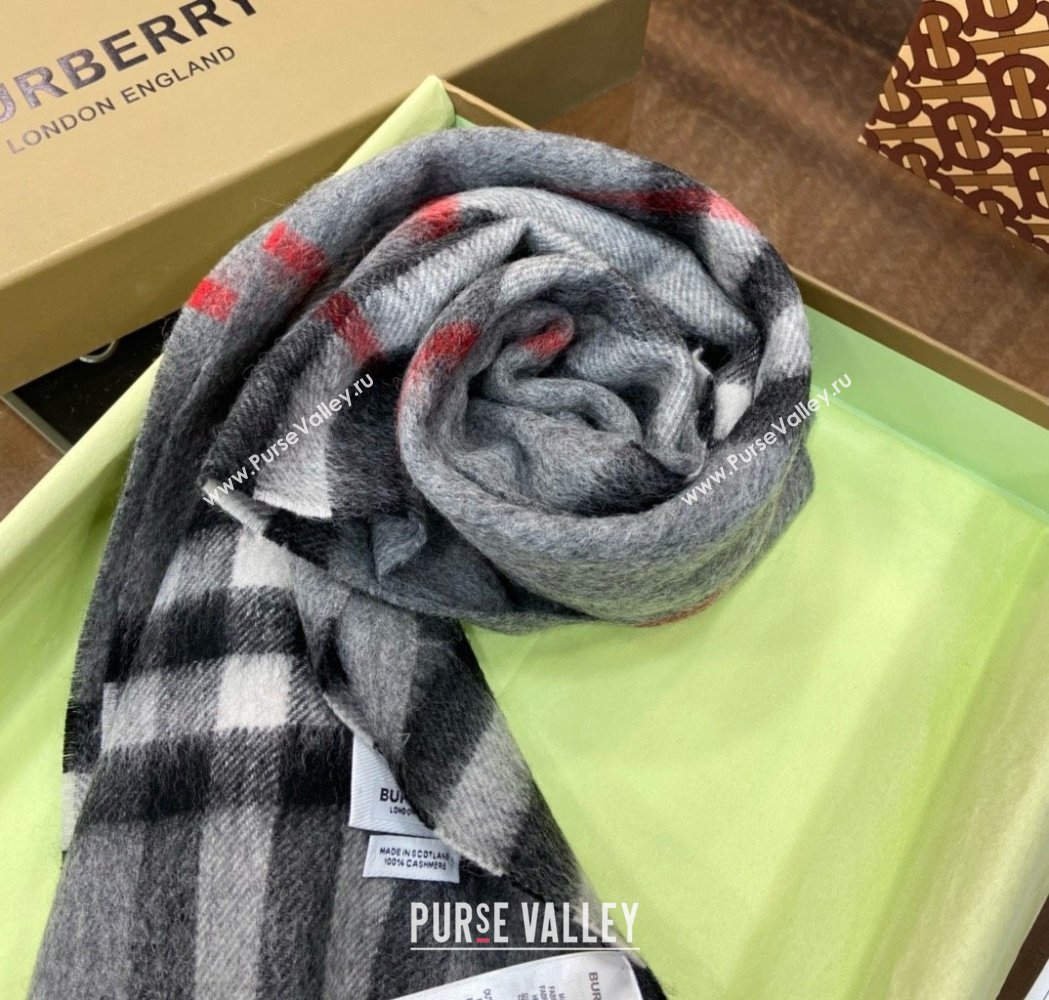 Burberry Check Cashmere Scarf 30x168cm B011603 Grey 2025 Top Quality (WTZ-25011603)