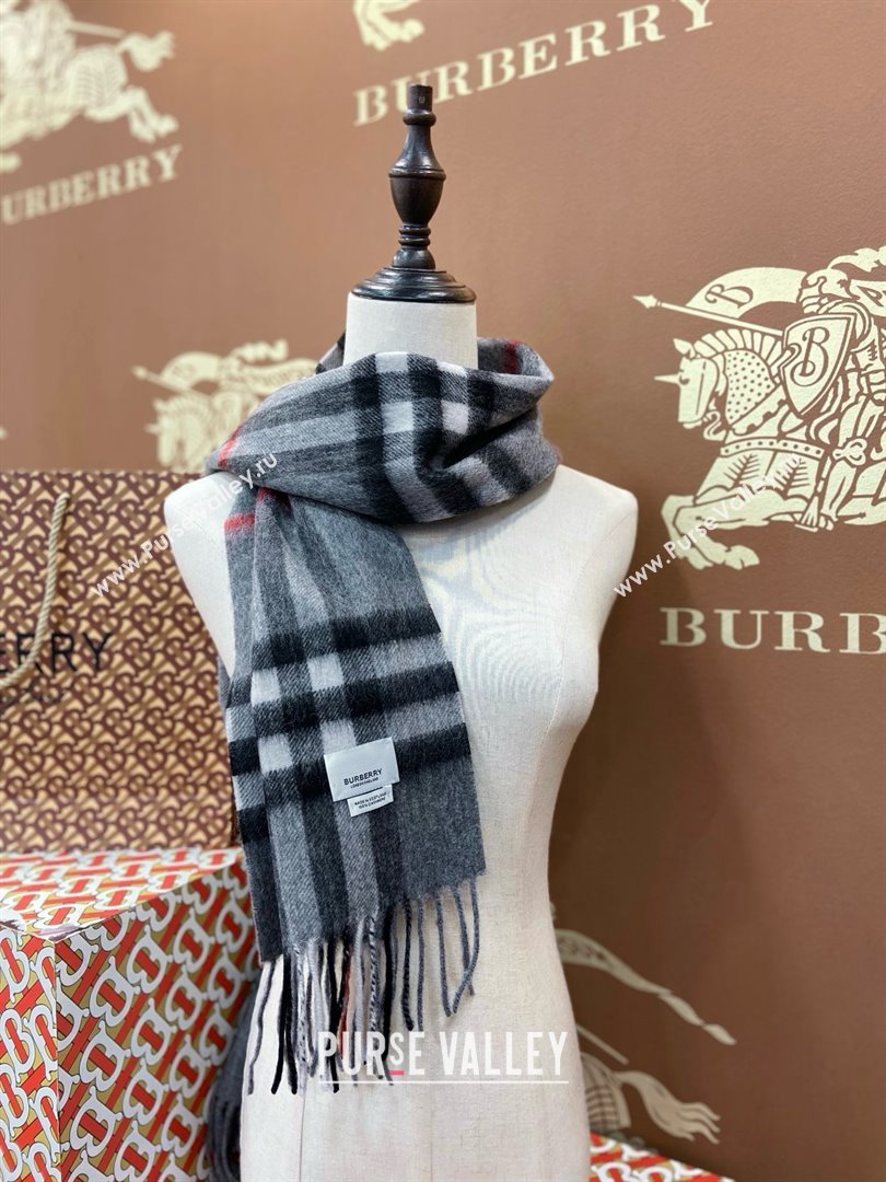 Burberry Check Cashmere Scarf 30x168cm B011603 Grey 2025 Top Quality (WTZ-25011603)